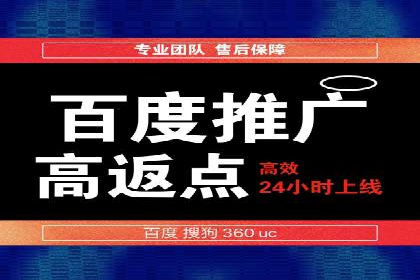 SEM广告投放策略：成功案例解析